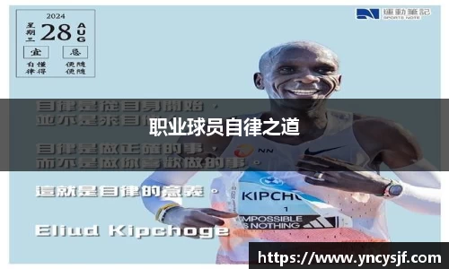职业球员自律之道