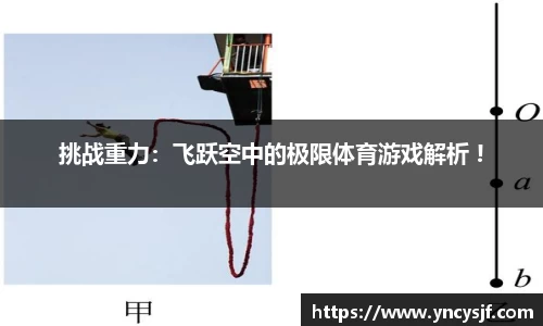 挑战重力：飞跃空中的极限体育游戏解析 !